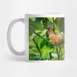 kli dove Mug